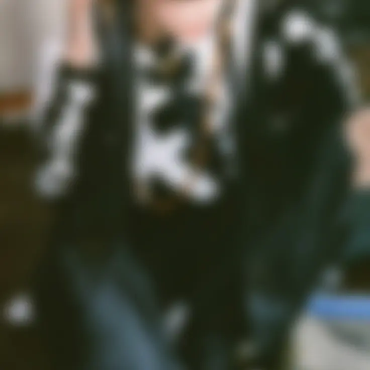 lulli의 황현진