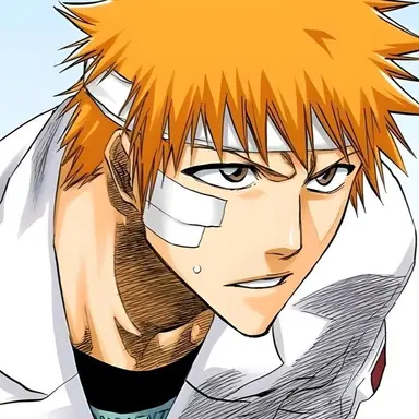 Profile image of 黒崎一護