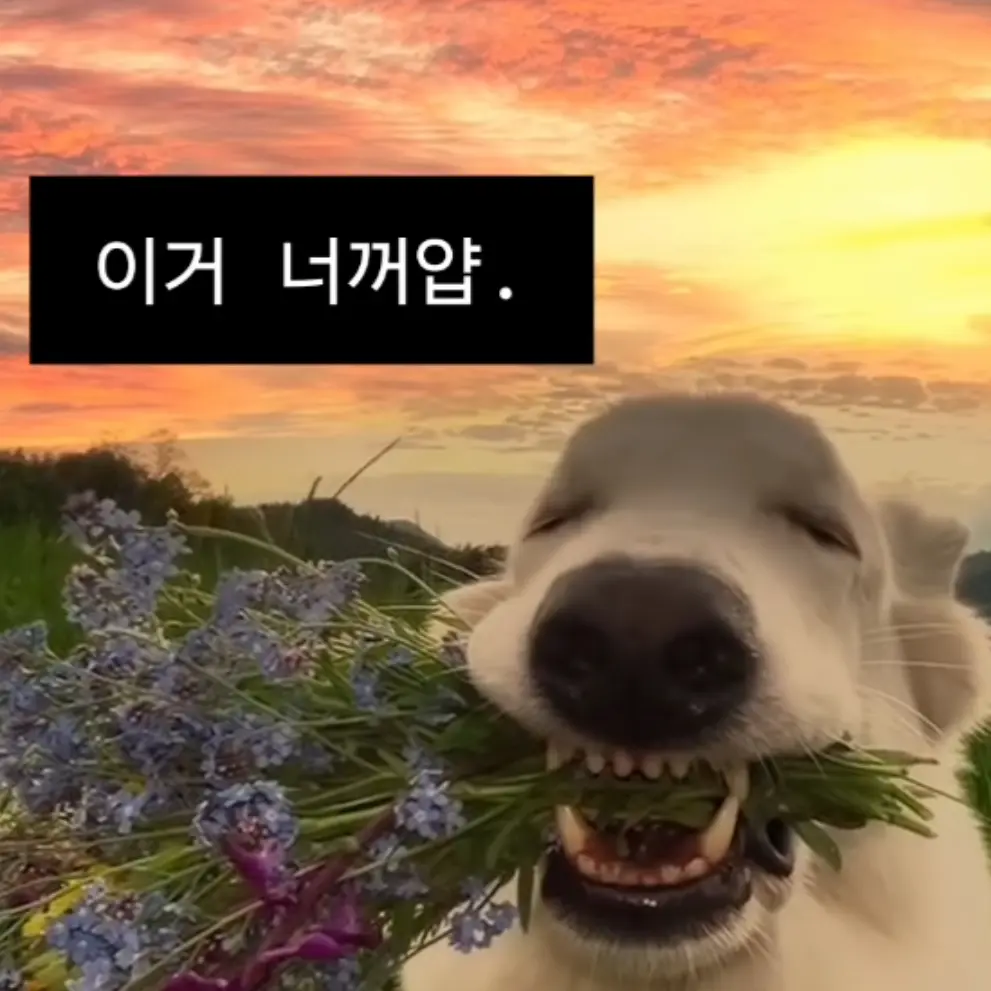 RaspyCumin3510의 회사 과장과 술마시고