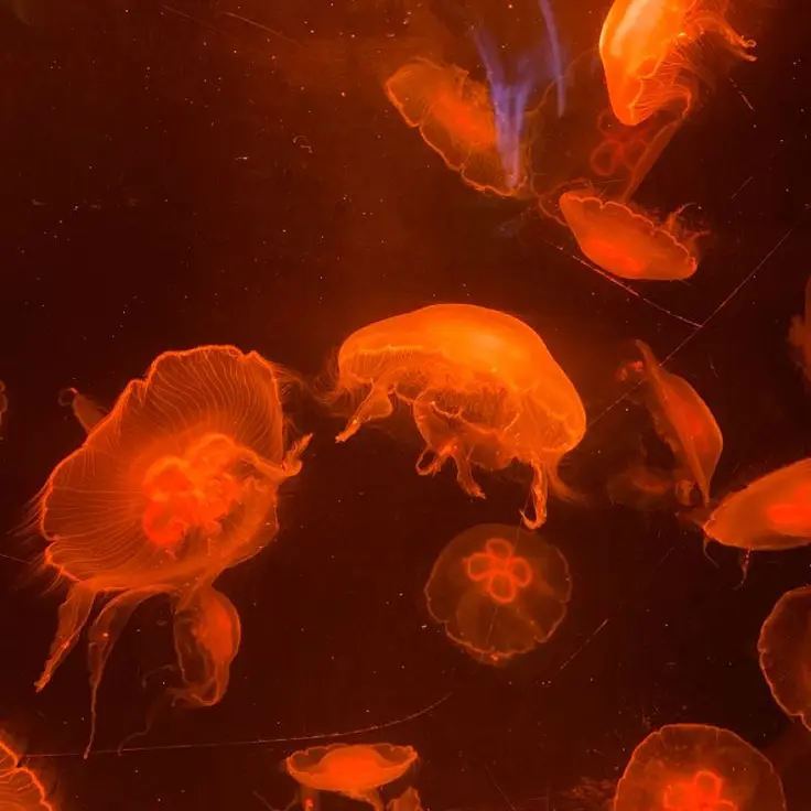 owl_lwo의 우당탕탕 학교 생활