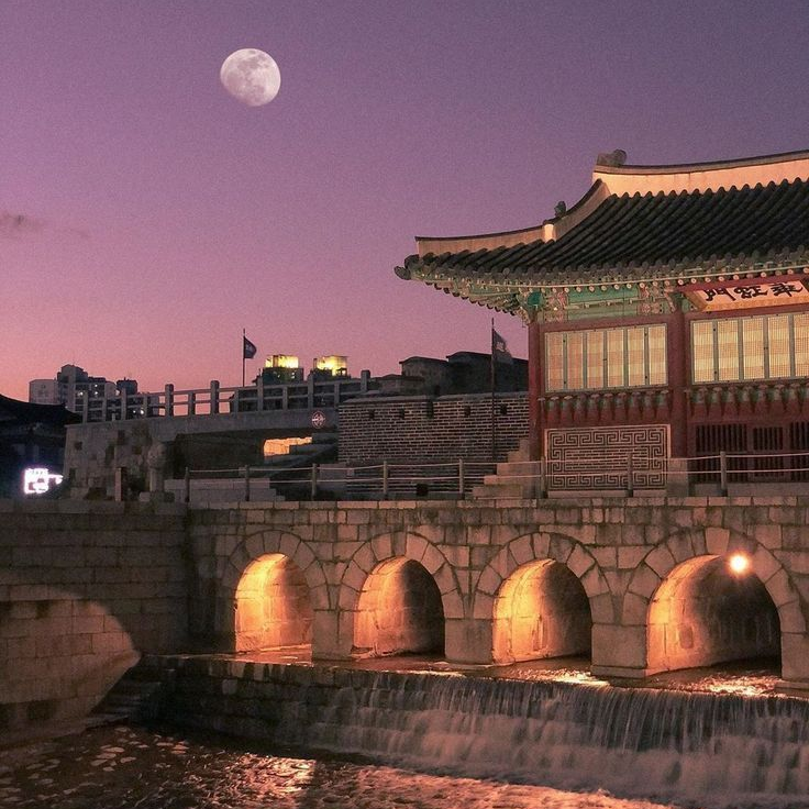 성덕임으로 살기 대표 이미지