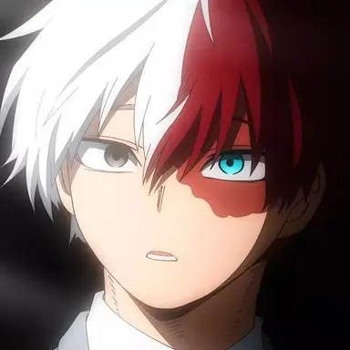 Profile image of Todoroki