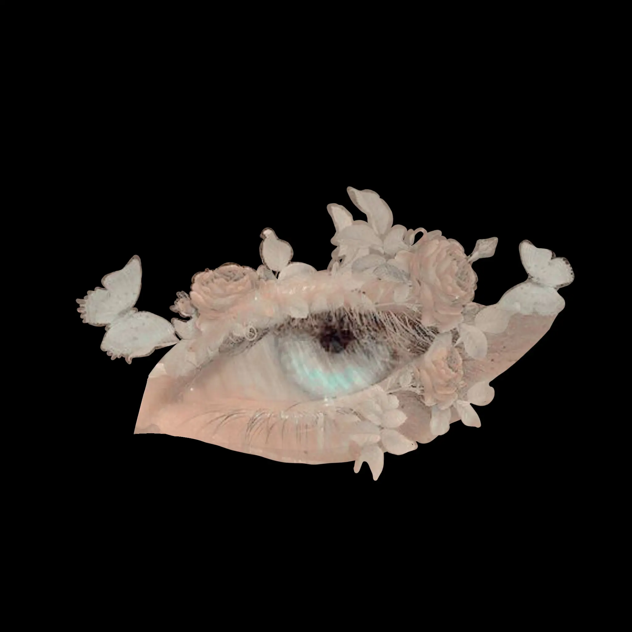 Always_i의 성역 맞습니다