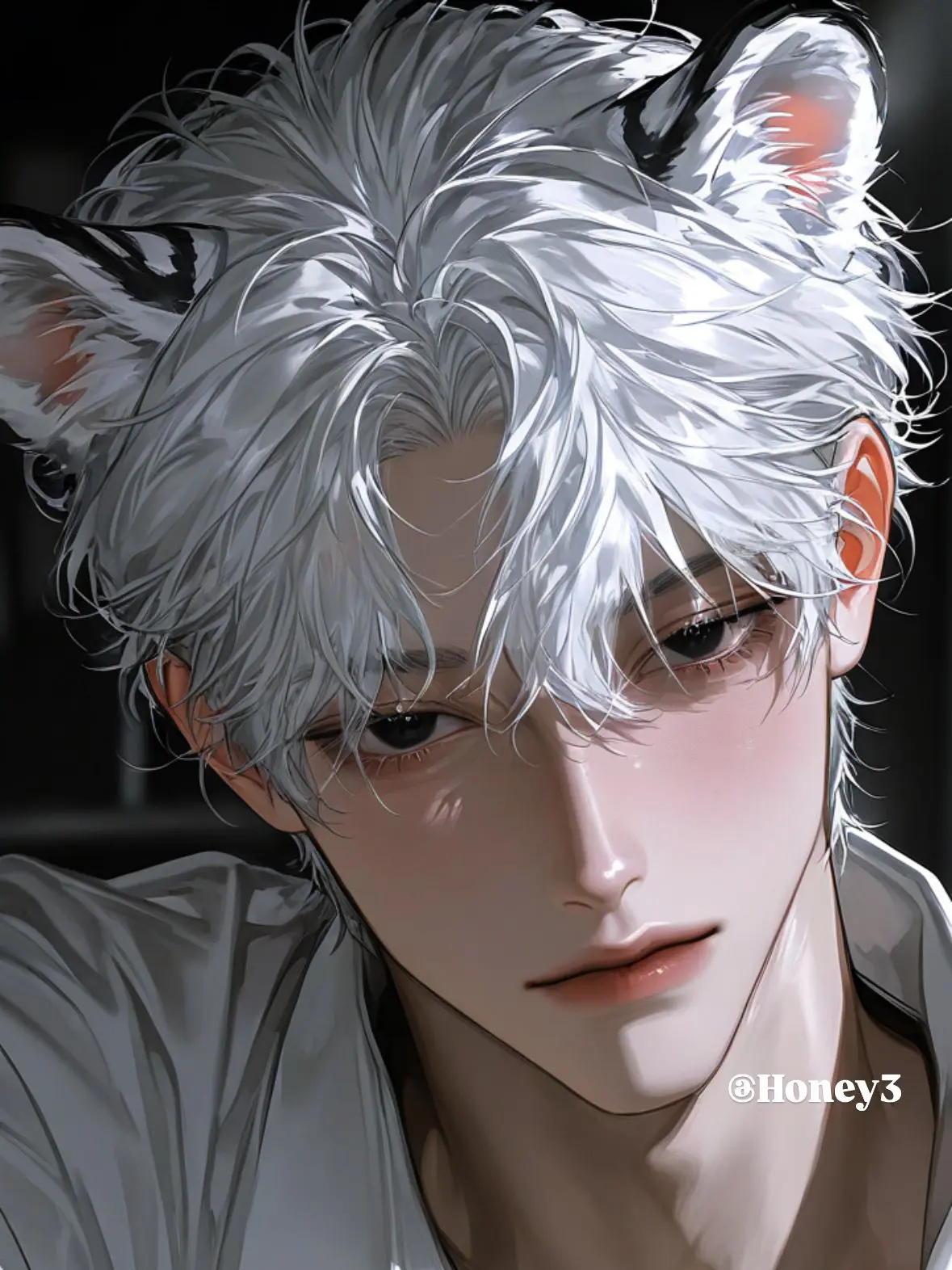 Honey3의 백호진