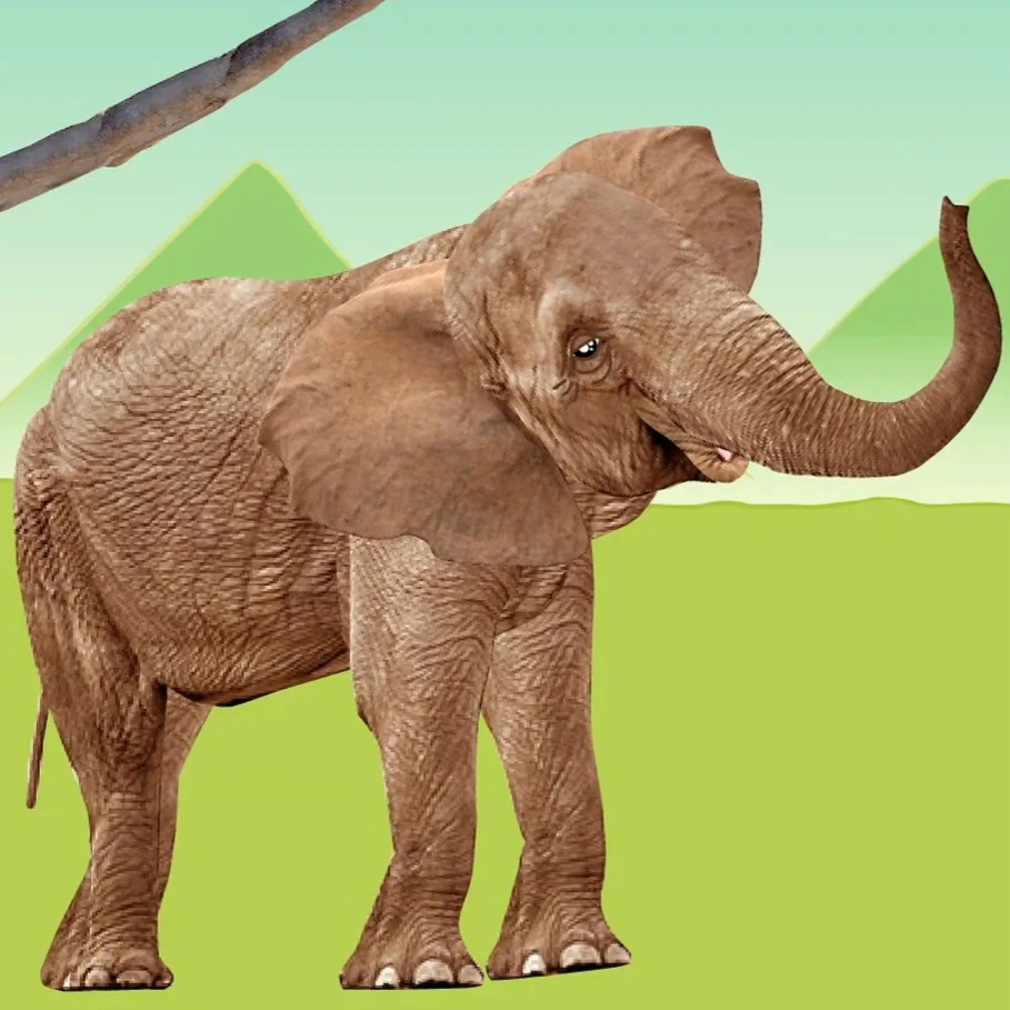 라라