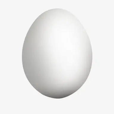 Profile image of Egg