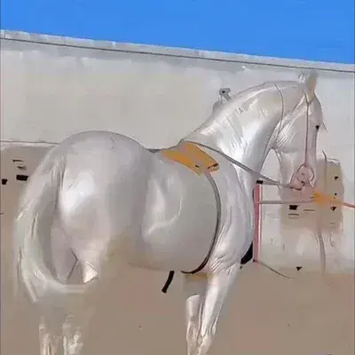 CoolPig0174의 Western Horses