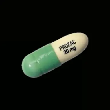 Profile image of 카니프