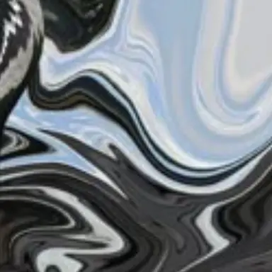 Profile image of TH