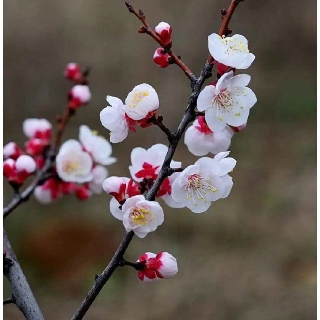 pomi6780의 내가 주운 아이가 사실 왕궁의 아이?