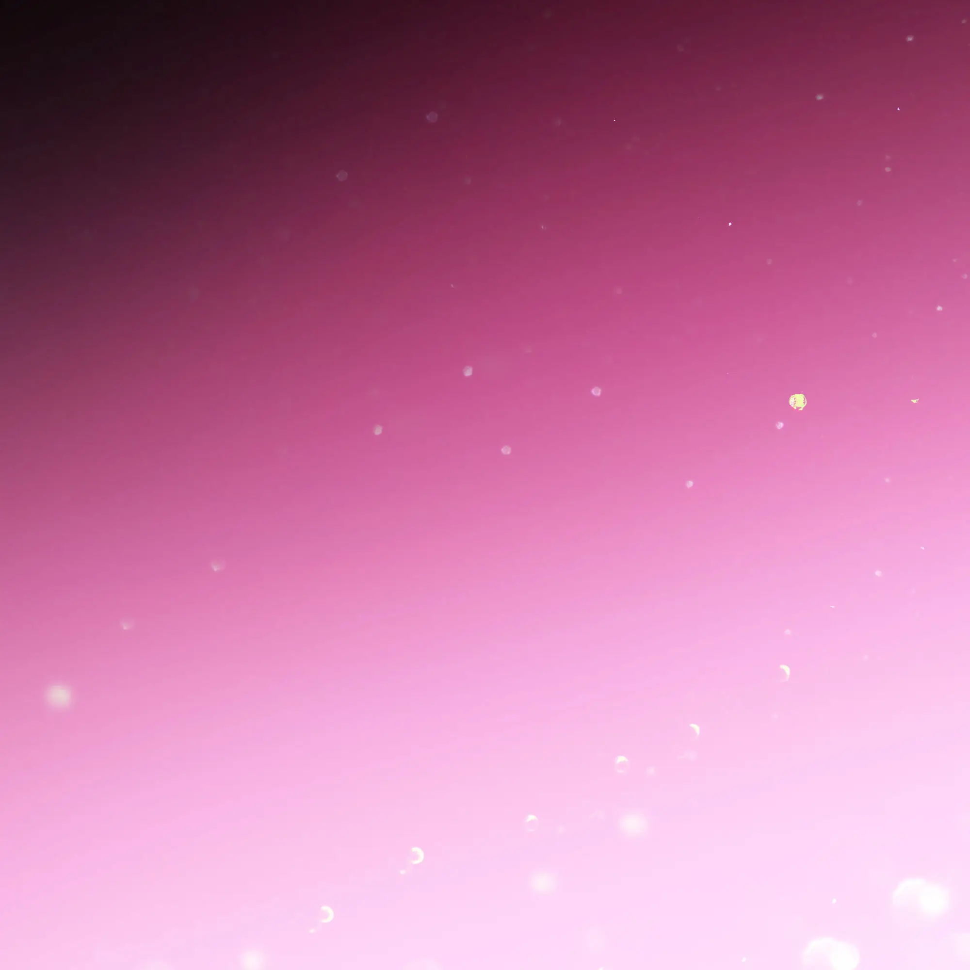 StarkOlm7775의 윤가민