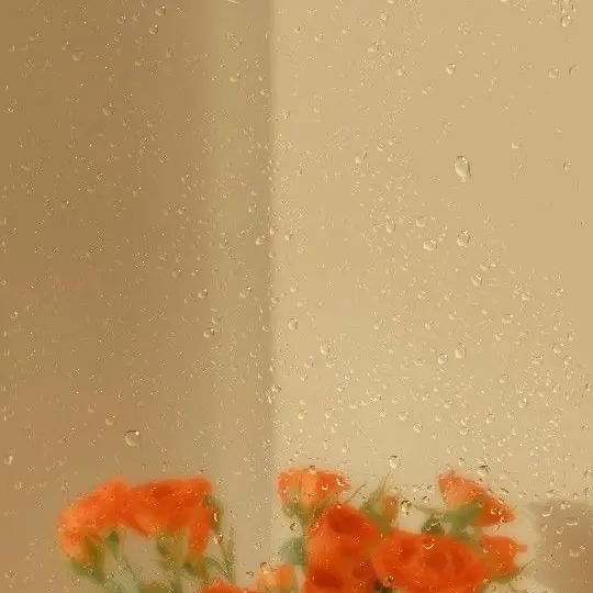 Hanwha1999의 정은원