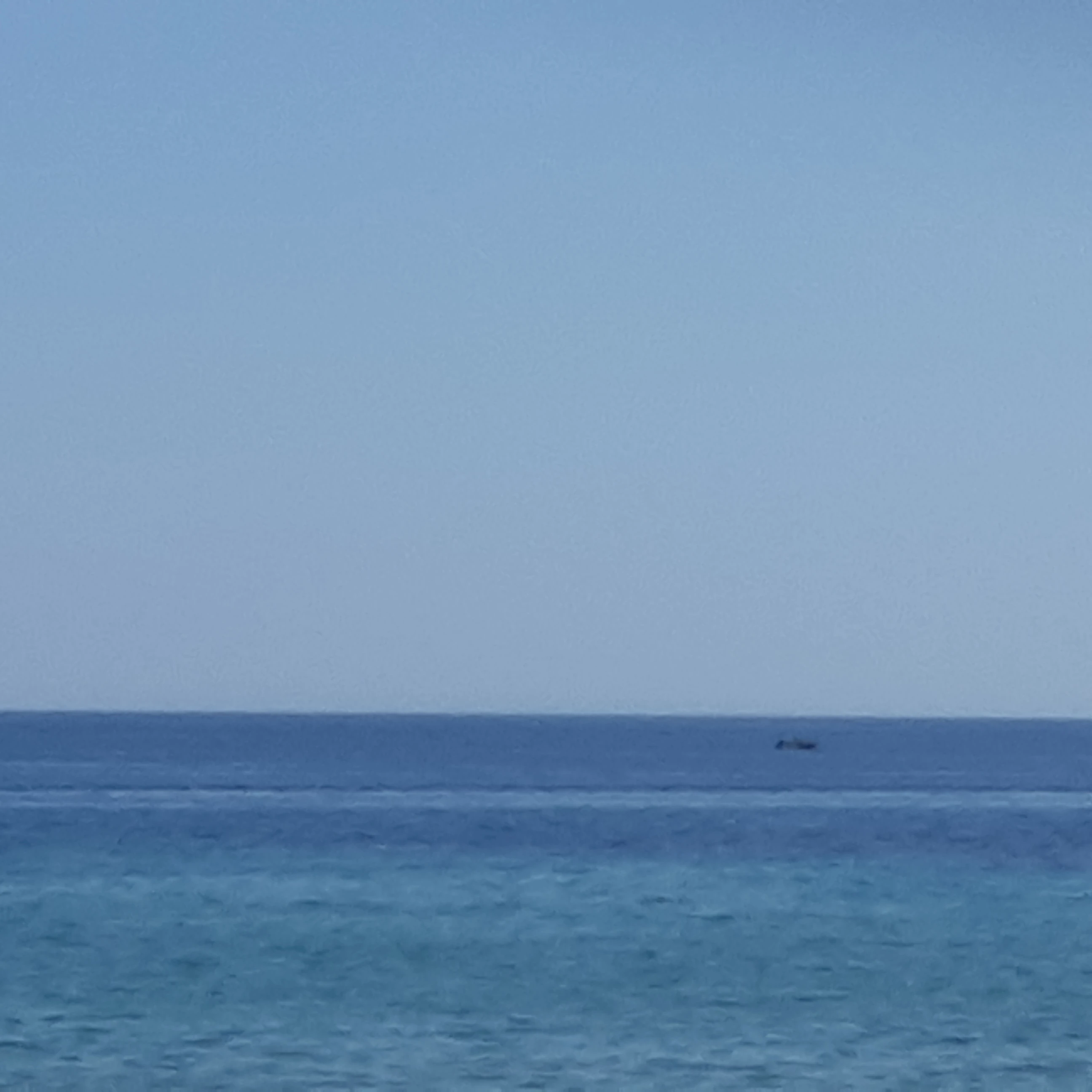 볼트