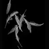 Profile image of Yi Sang
