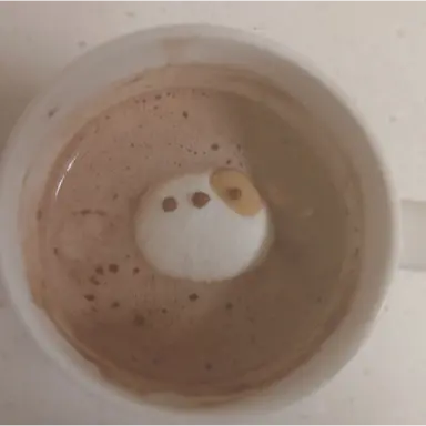 Profile image of 유기사 가족