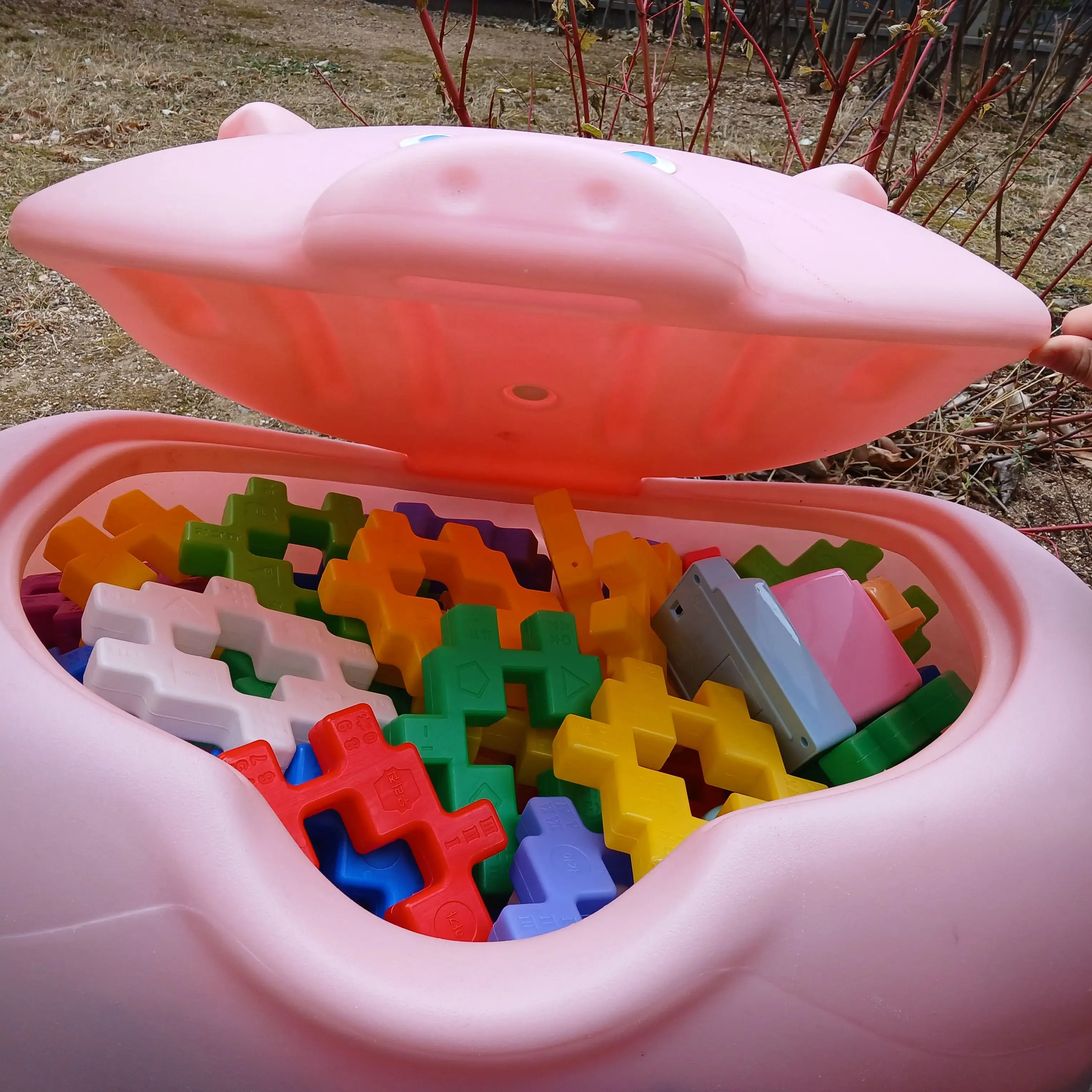 NMIXXILOVEYOU의 유기사 가족