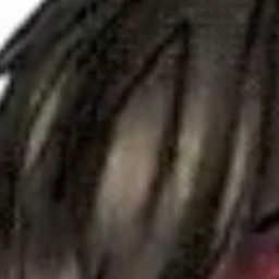 CR0T0N