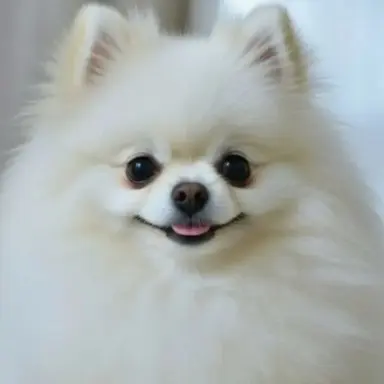 Profile image of 루나