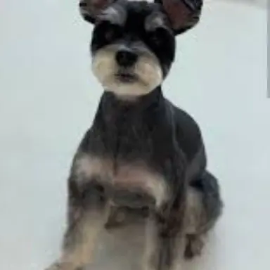 Profile image of 리나