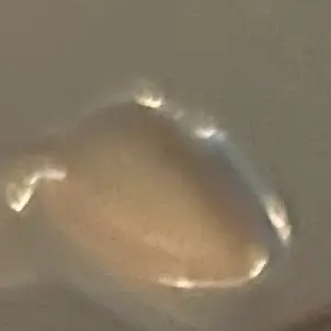 Profile image of コンタミ