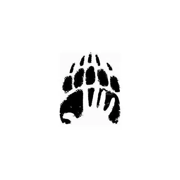 Sissytingz의 Werewolf Pack