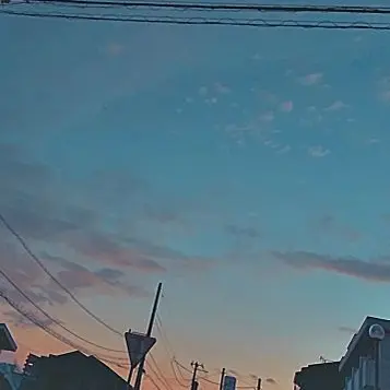 Profile image of トビ