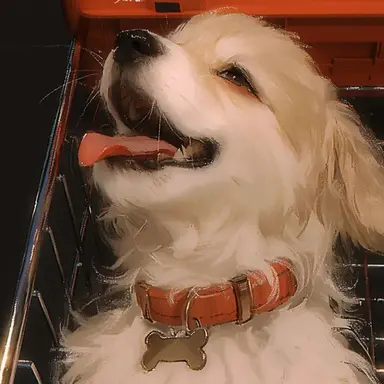 Profile image of 메리