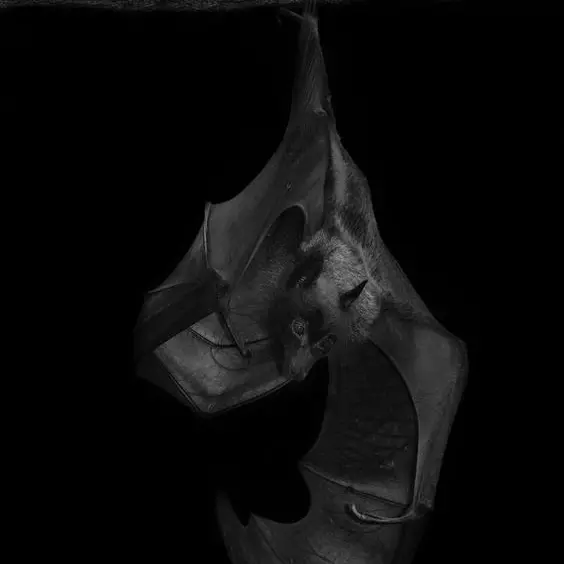 0102_의 Bat. Bat. Bat.