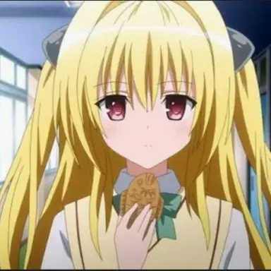 Profile image of 黄金の闇
