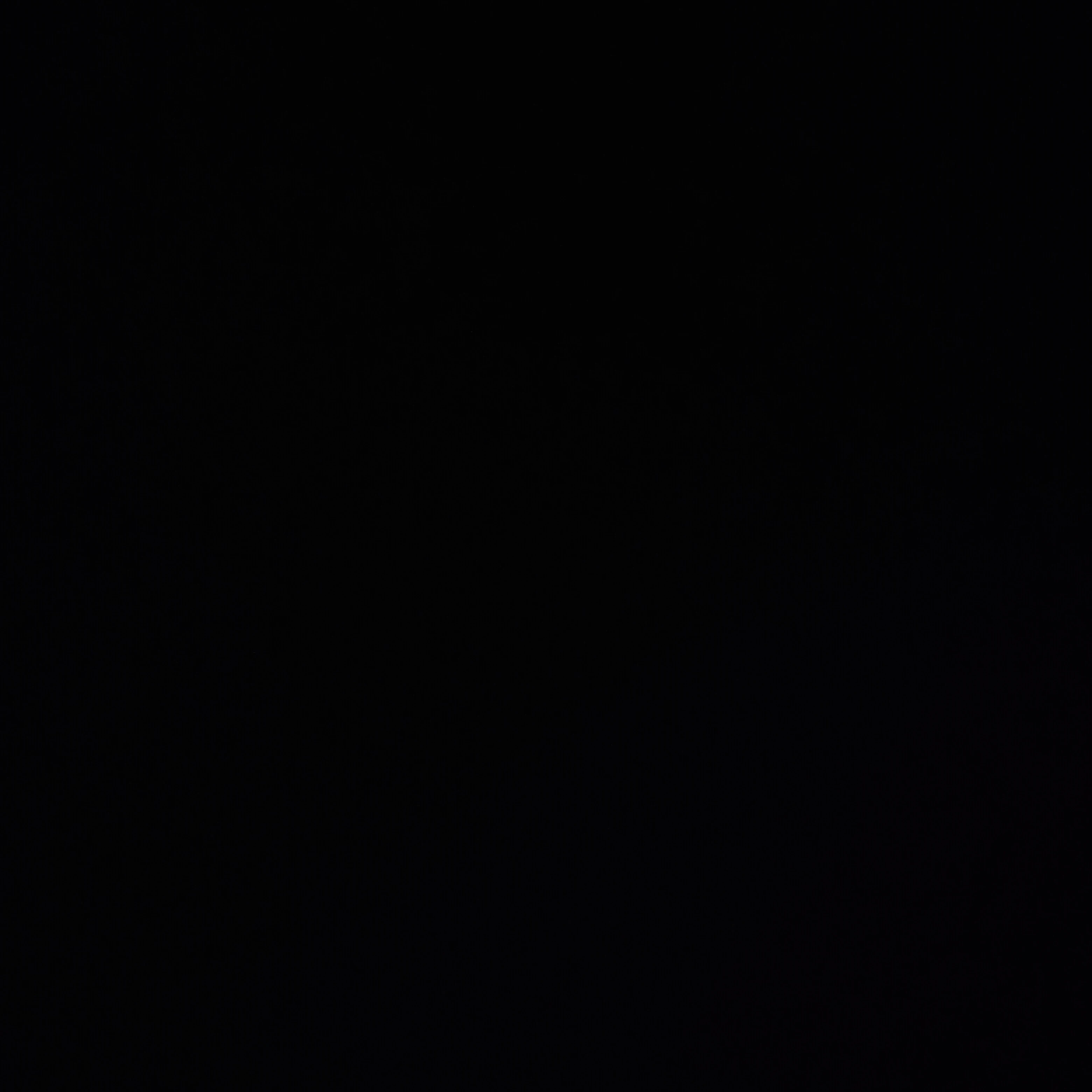 오징어게임