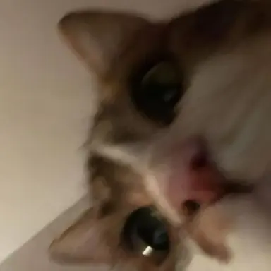 Profile image of キム・ハリン