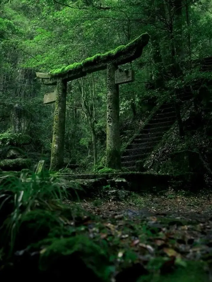 Library_Of_RuinanoChesedLove의 神様五人を拾っちゃったんだけど…どうしよ