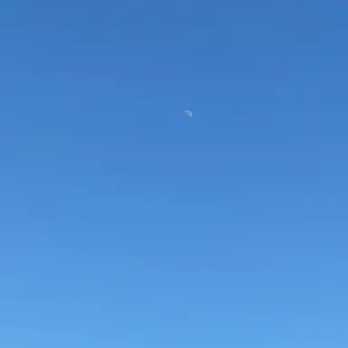 Profile image of 주도하