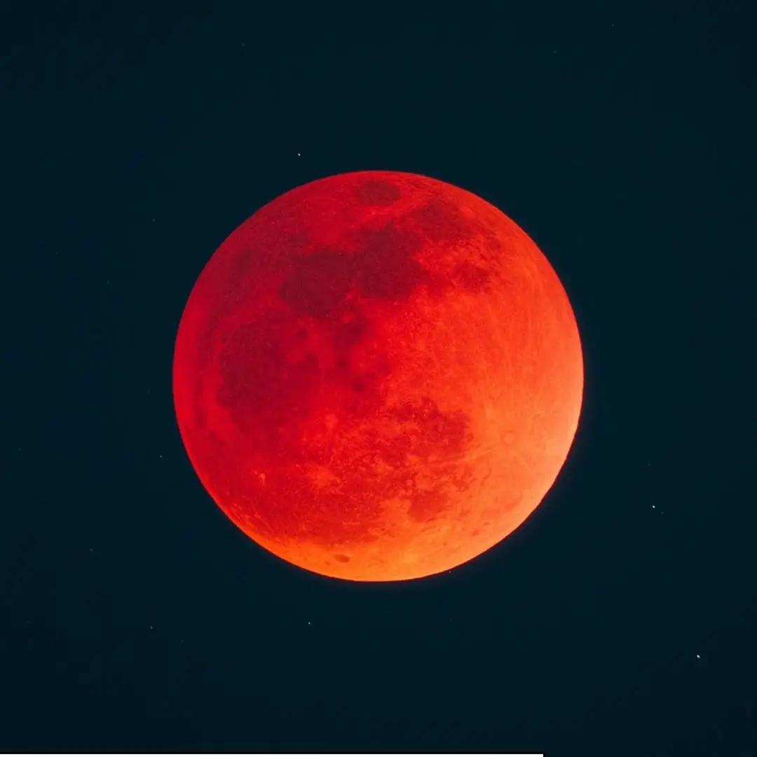 MellowFlea2226의 ㆍ