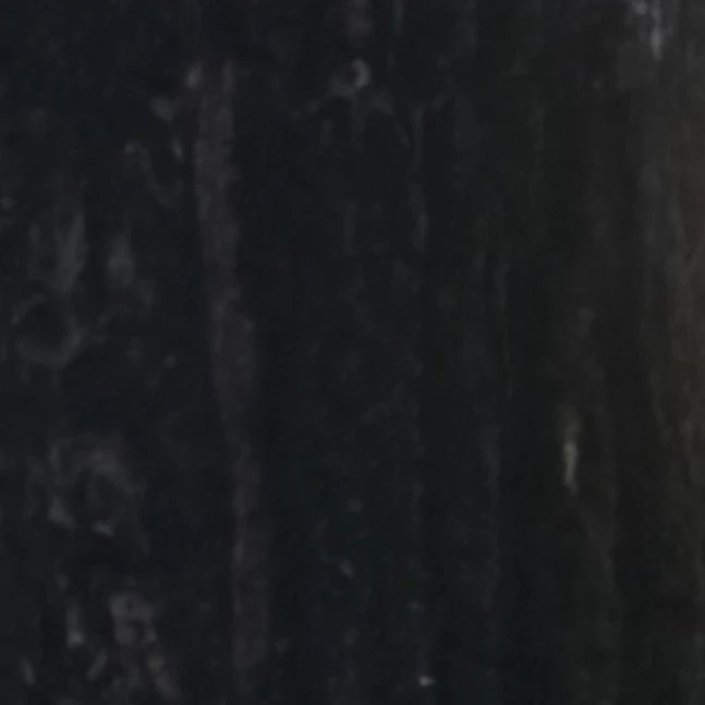 이찬