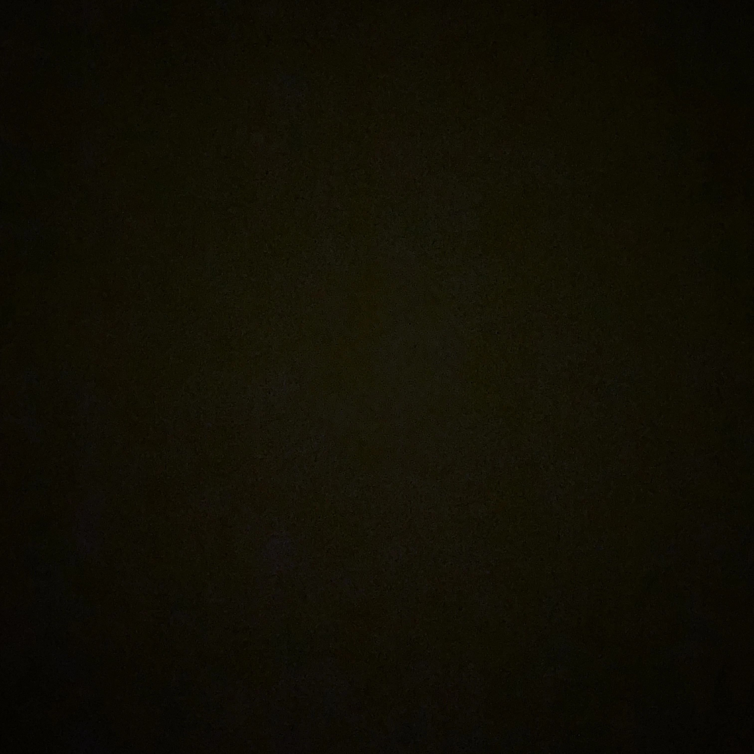 김도영