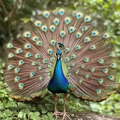 Profile image of ヘラ