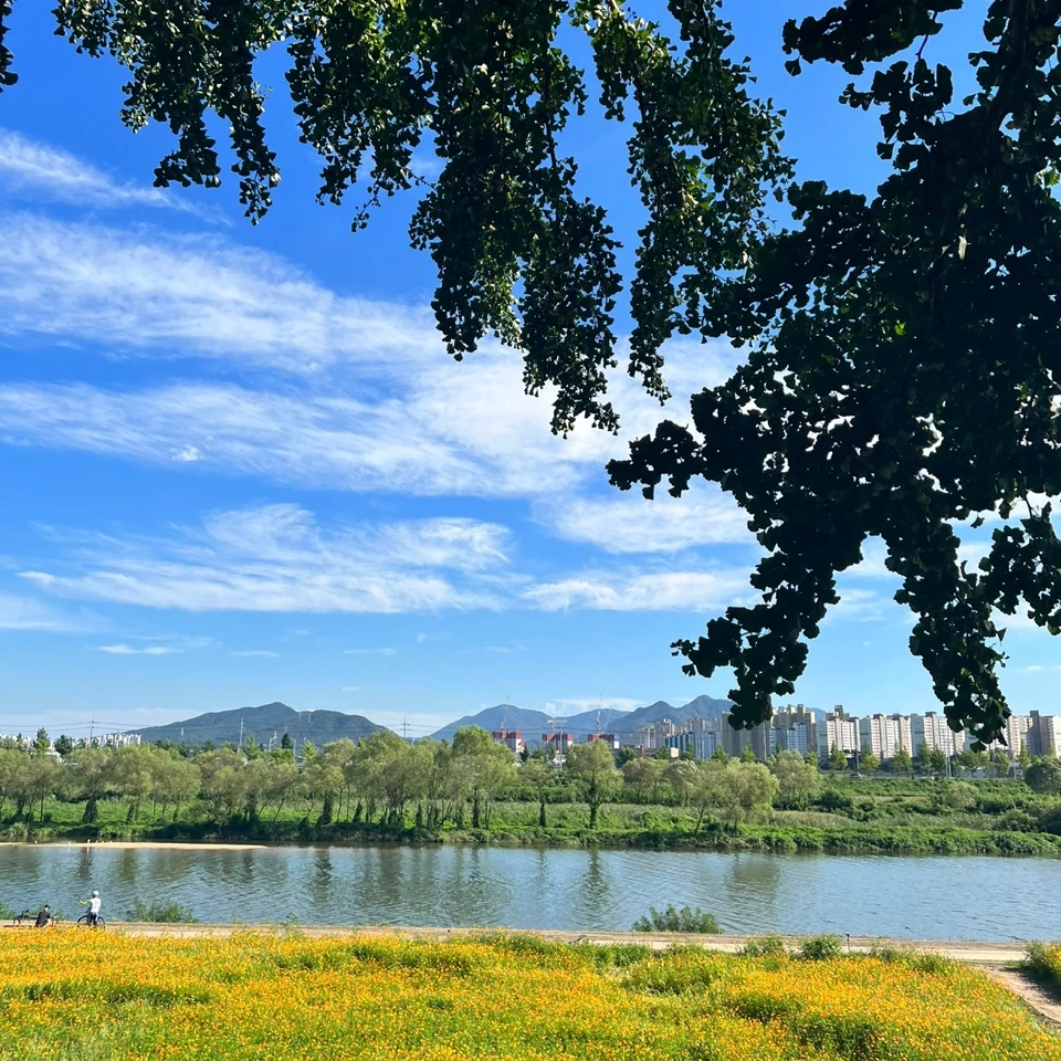 이윤성