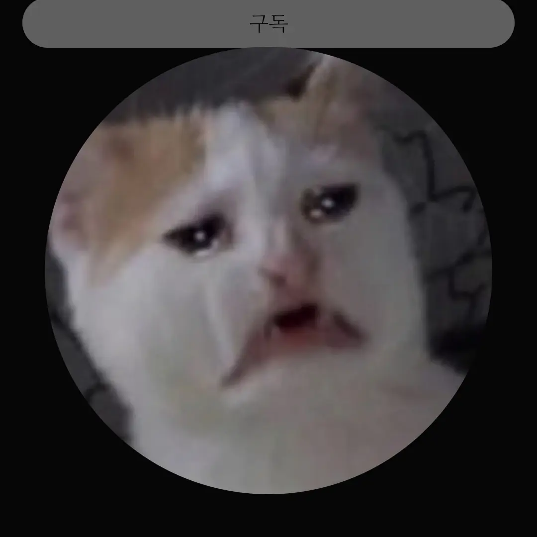 ProneTabla2029의 이서윤