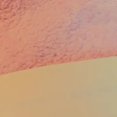 Profile image of 아리미 키츠네