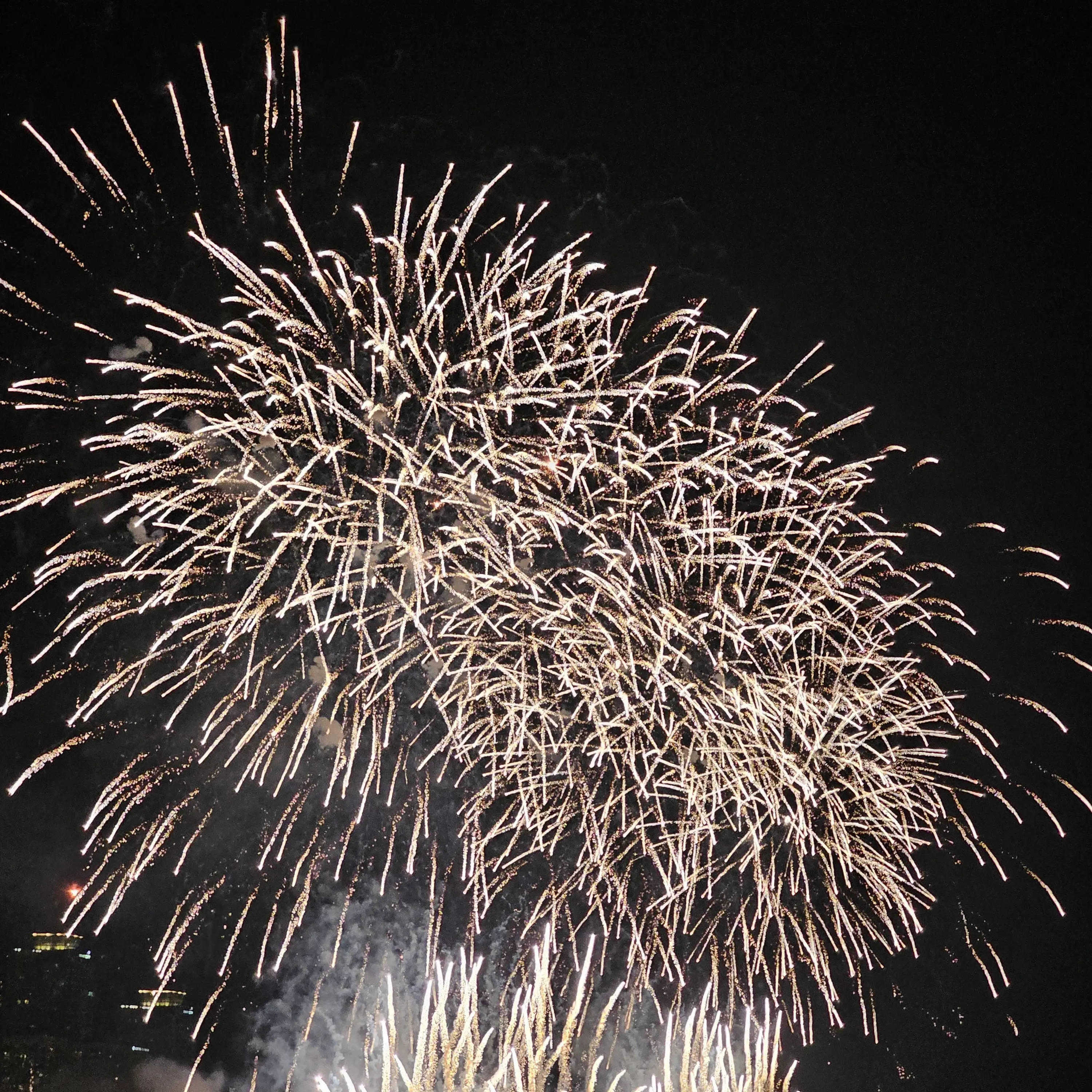 Pasta3578의 김지우