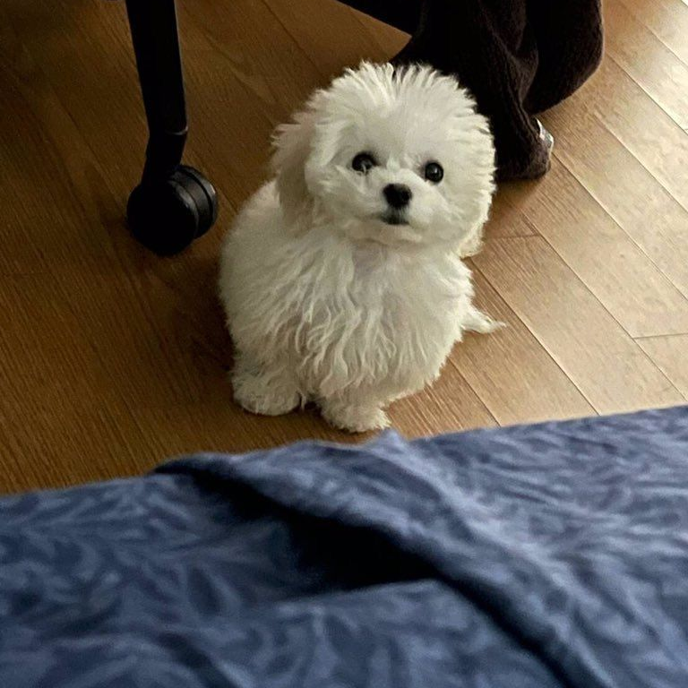 종천러 대표 이미지
