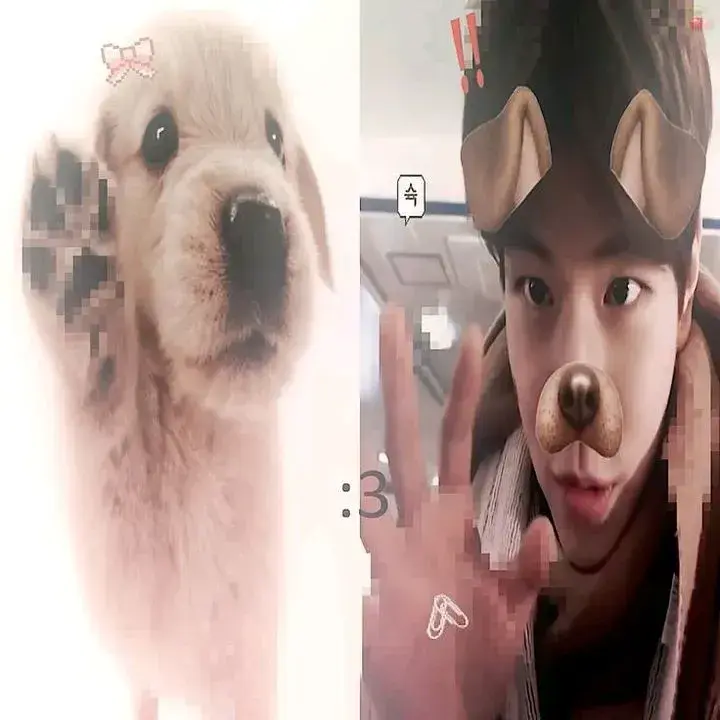 KindGoose3964의 Jaehyun the Dog