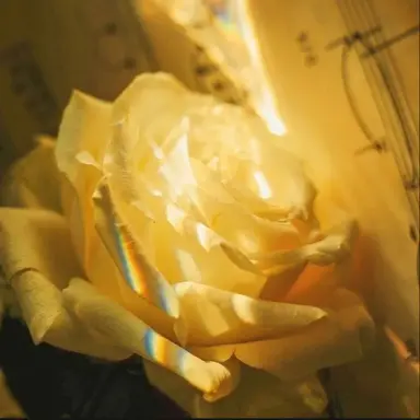 Profile image of 각별