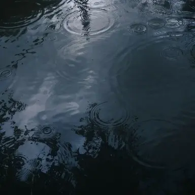 Profile image of 여해연