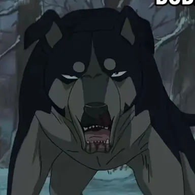 Profile image of ドーベ