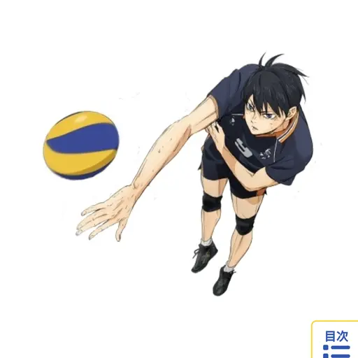 PerkyFob4576의 影山飛雄