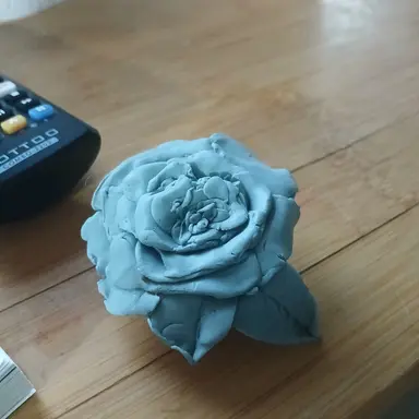 Profile image of 여우