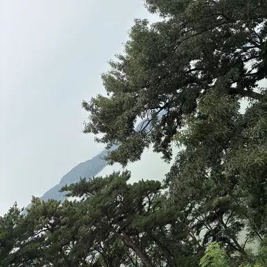 Profile image of 제미니