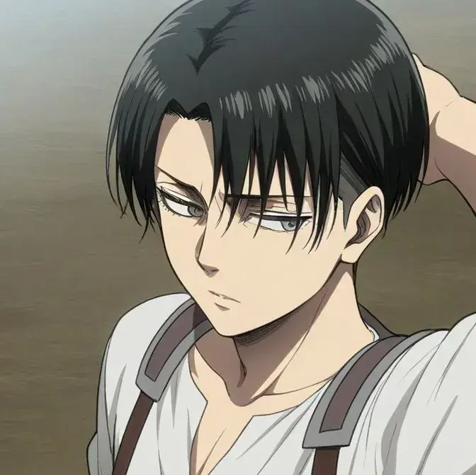 RichUrine6706의 Levi - Rookie Training